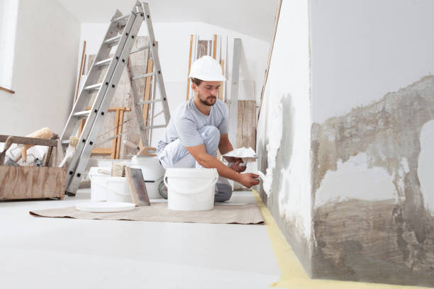Purvis, MS Mold Removal Company