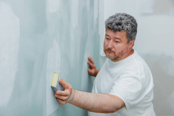 Best Attic Mold Removal  in Purvis, MS